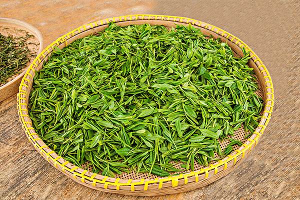 Tea Ceremony for the West Lake Longjing Tea