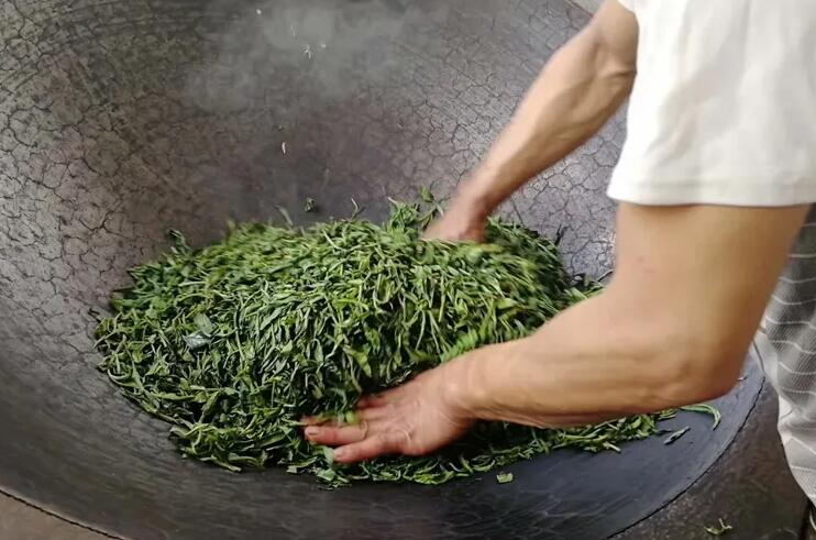The Processing of Tea