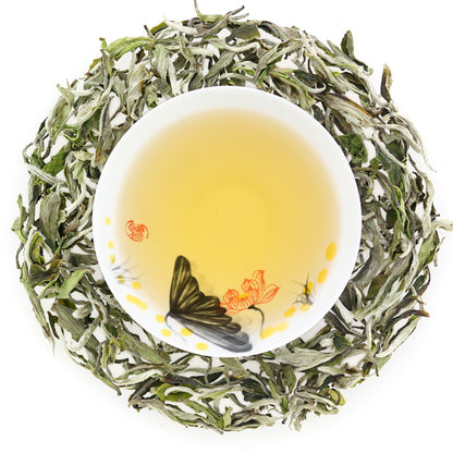 White Peony Tea - COLORFULTEA