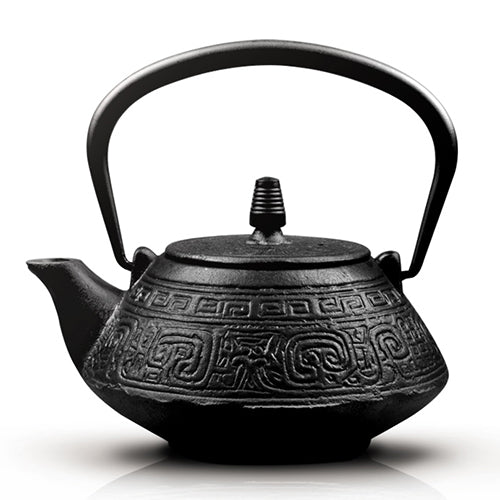 Japanese Southern Gongfu Cast Iron Teapot